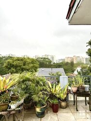 Fuyong Estate (D23), Semi-Detached #585032991